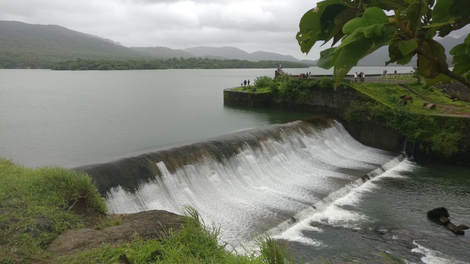 Vandri Dam overflowing in the monsoon, reservoir ringed by green hills