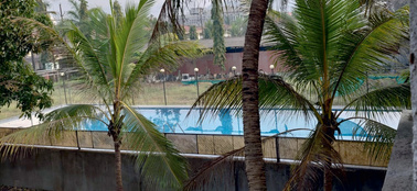 Swimming pool framed by palm trees